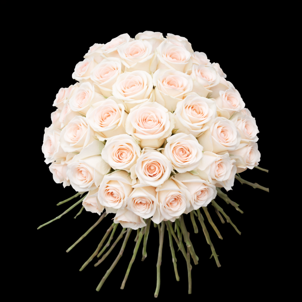 Classic Roses - In VIEW CART add date & time for pickup or Delivery