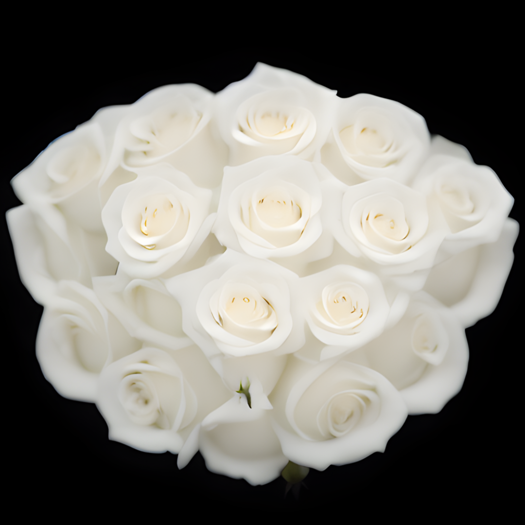 Classic Roses - In VIEW CART add date & time for pickup or Delivery