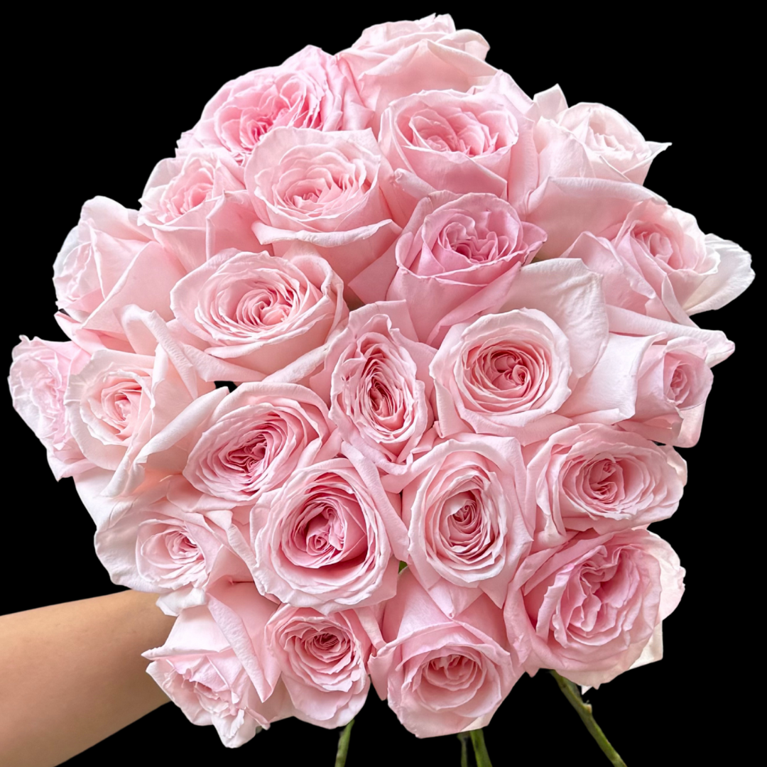 Pastel Roses