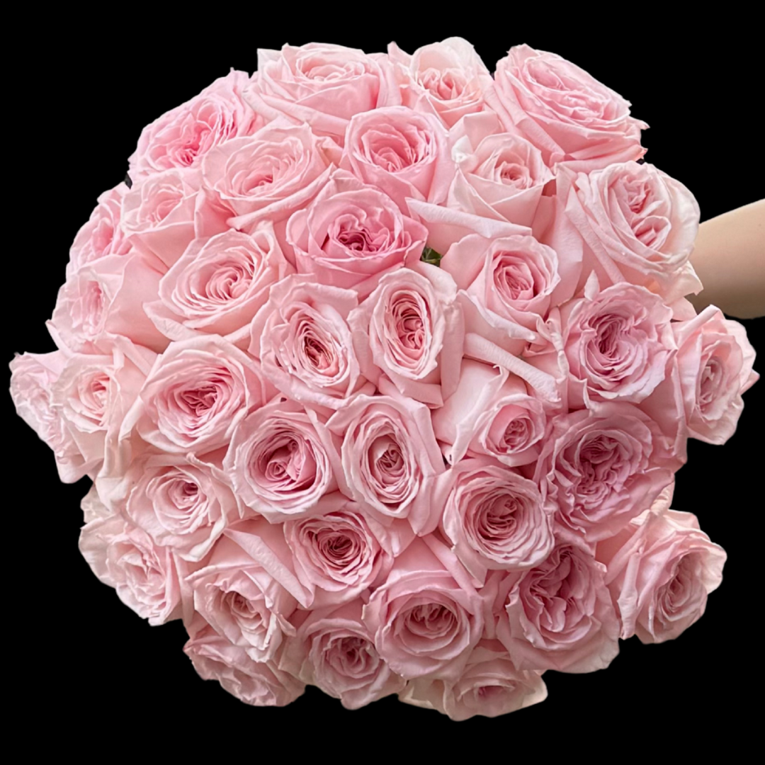 Pastel Roses