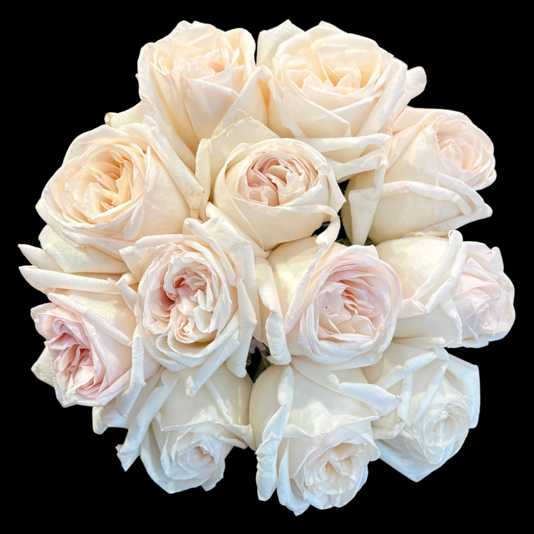 Classic Roses - In VIEW CART add date & time for pickup or Delivery