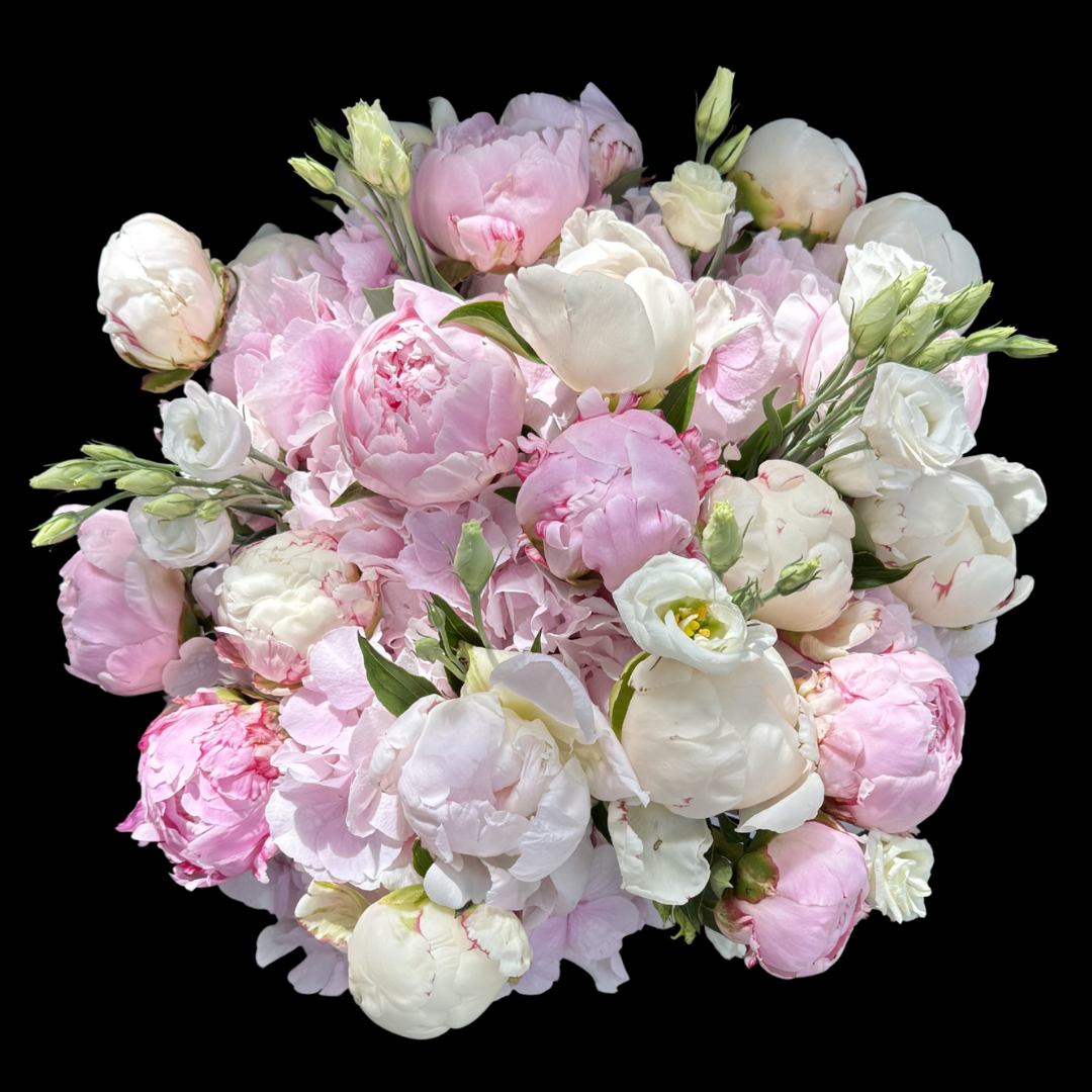 Local Peonies