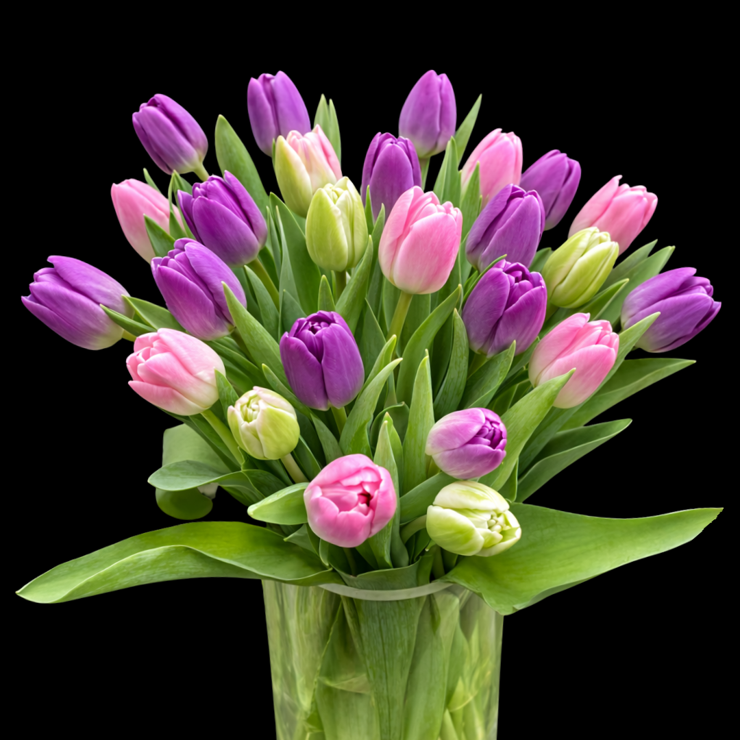 Tulip Arrangements