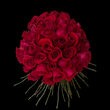 Valentine's Day - Luxury Red roses with greenery– an elegant arrangement of fresh flowers, perfect for Valentine's Day, Anniversaries, Birthdays, Mother's Day as well as any romantic occasion. Ideal for those seeking Downtown Toronto Florist-Portland Market- King West  District is a luxury flower shop with Bespoke bouquets and arrangements, classic centerpieces or premium arrangements are timeless floral gifts.
