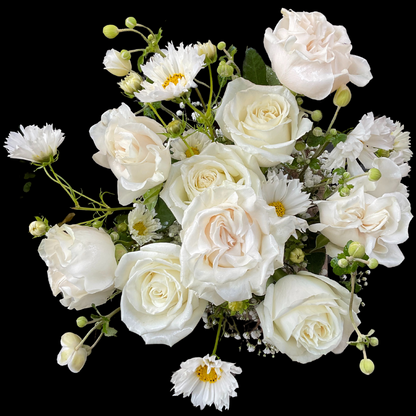 White Roses