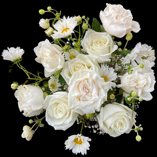 White Roses